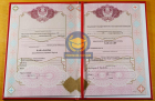 Бакалавр 2009 - 2026 с отличием
